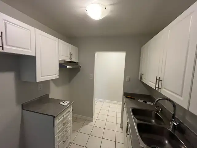 Professional Painter – Clean & Fast Work402405784646461444