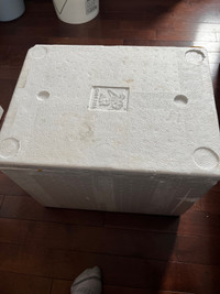  Medium Styrofoam box 