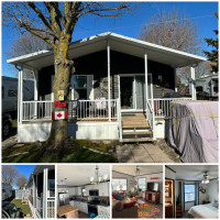 Mobile Home for sale (Spring Lake RV Park)