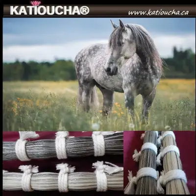 Cheveux Crin de Cheval Gris tressage bijoux artisanat, View more