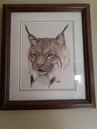 Bobcat Print By Saltiel, View more
