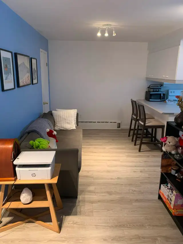 Student Shared Accommodation426574753962414083