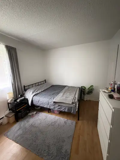 Chambre dans un 4 1/2 disponible a partir du 1er Novembre meublé ( Lit, bureau, wifi, électricité…)...