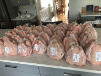 Chicken meat for sale