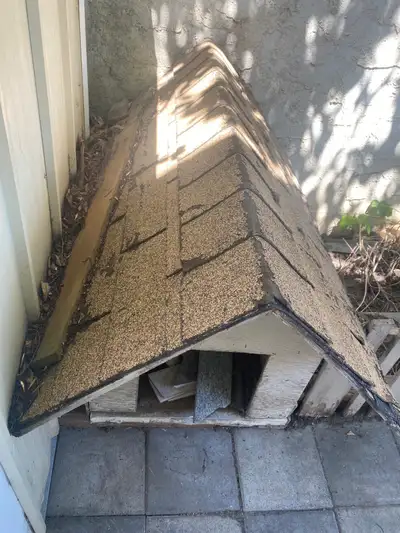 Dog house for sale