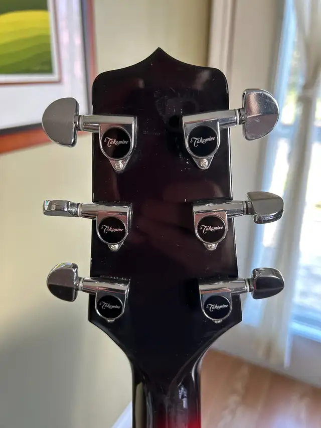 Professional series takmine. FP 350 SMCSB. in Guitars in Summerside - Image 6