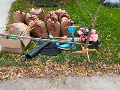 Free stuff, leaf blower, toys, scooters - 79 Ramsgate bay, View more