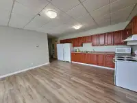 Newly Renovated 5-Bedroom and 2-full baths Apartment in downtown