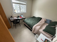 Lakeview room for rent