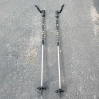 Atlas Adjustable Walking Poles  Aluminium 
