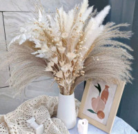 85 pieces natural dried pampas grass