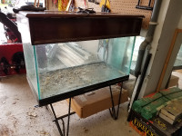 50 Gallon glass aquarium