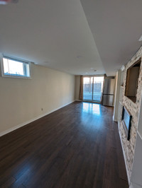 Newly renovated 1 bedroom walkout basement for Rent