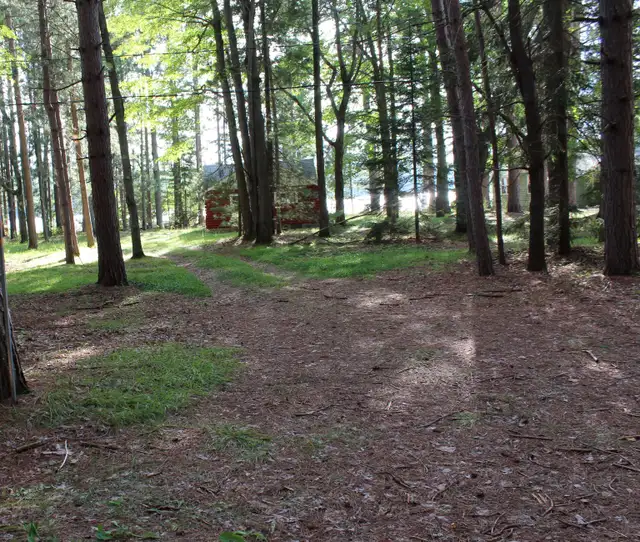 Lake view Beautiful private log cabin. Relax, retreat, sun, sand in Ontario in Canada - Image 11