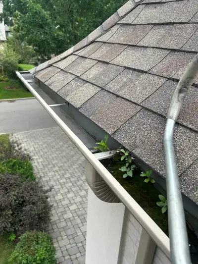 Gutter Cleaning & Leaf Guards – Starting $120, View more