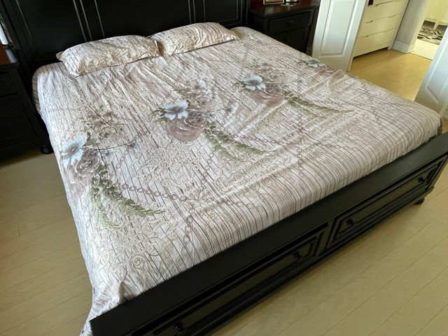 King Size Matress - Springwell - Bought from BRICK (Barley Used) in Bedding in Mississauga / Peel Region