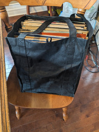free bag of vinyl lps for arts/crafts.