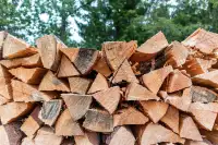Premium Firewood-Birch and Poplar, delivery available