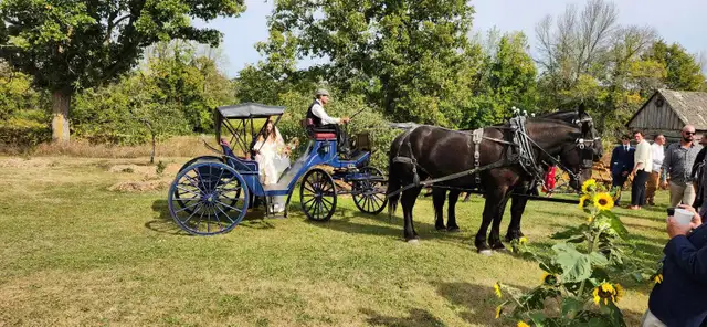 Gentle Giants Sleigh and Wagon Rides in Activities & Groups in Peterborough - Image 2