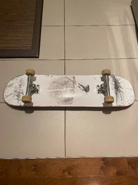 Skateboard complete