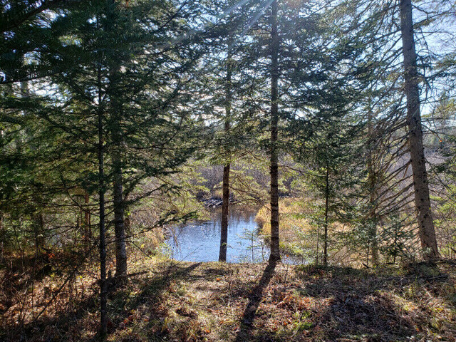 Terrain a vendre  2 acres Kazabazua River ( if ad is up its stil in Land for Sale in Gatineau - Image 3
