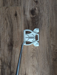Taylormade Spider Ghost Putter