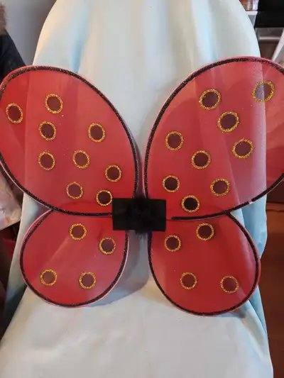Cute Lady Bug wings for kids pretend play or dress up. One size. Great Pretenders. Wings are 17 inch...