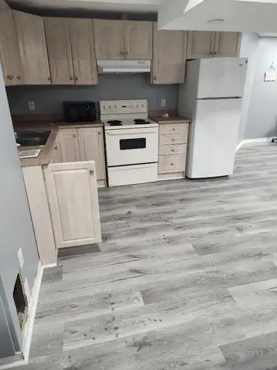 Large 2 bedroom basement for rent with living room, dining room, kitchen and 1 bath room. 1 parking...