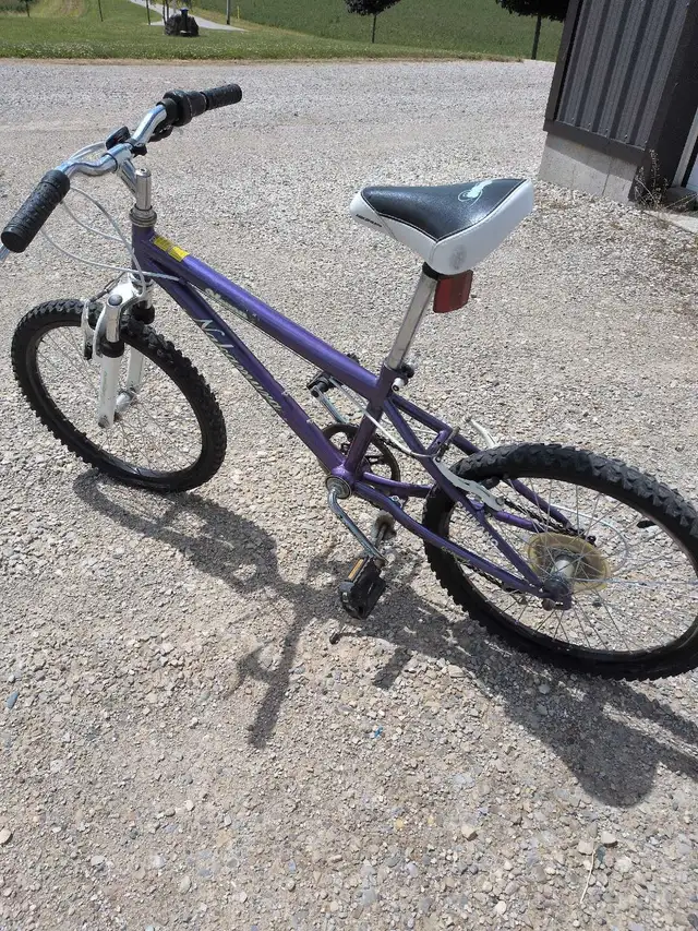 Nakamura Meyou 20-inch Bicycle in Kids in Owen Sound - Image 6
