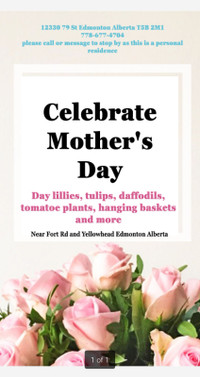 Mother’s day spring plants and hanging baskets.  Support Local