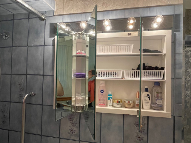 Bathroom medicine cabinets in Cabinets & Countertops in Windsor Region - Image 2