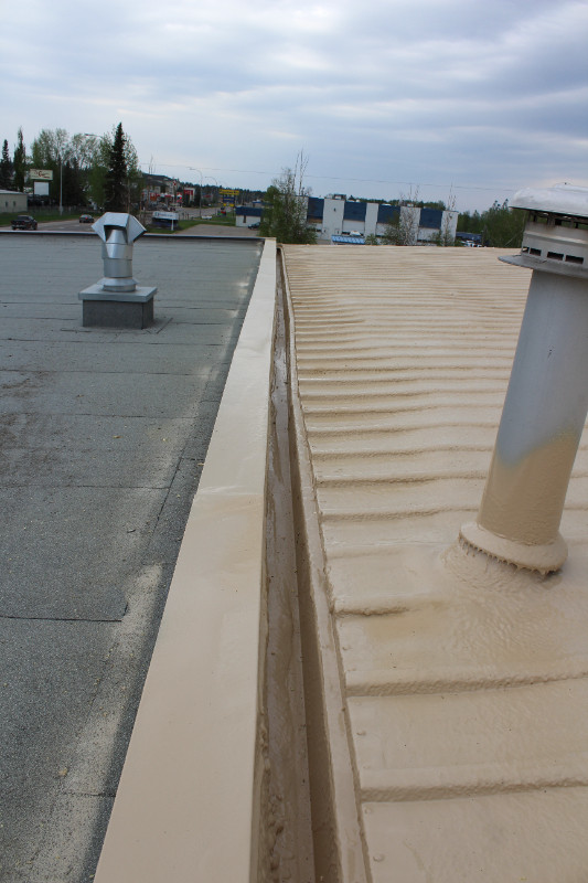Commercial Roof Repair - Economical -  Durable - Seamless in Roofing in Edmonton - Image 4