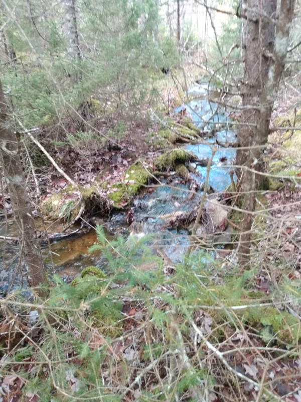 32 acres near Louisdale, Whiteside Road.  Wooded. in Land for Sale in Cape Breton