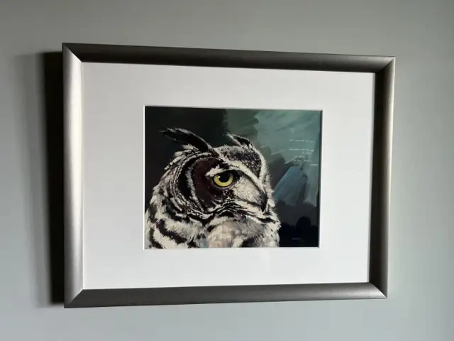 Owl Picture65198307586049120