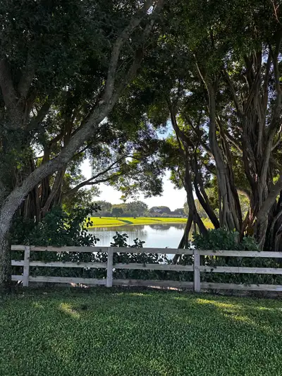 looking for emu chick, View more