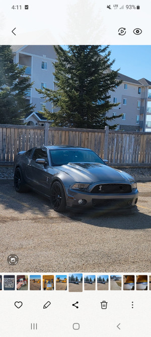 2011 Shelby Cobra