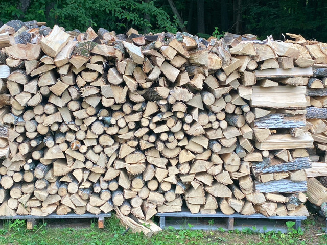 Seasoned firewood in Other in Napanee