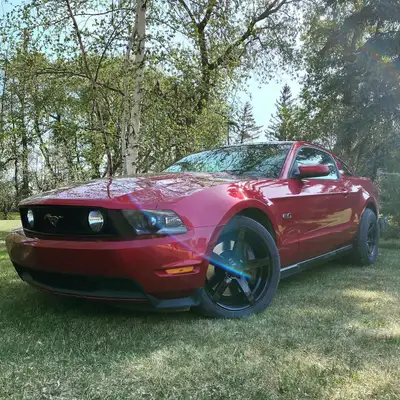 2011 Mustang GT Premium 