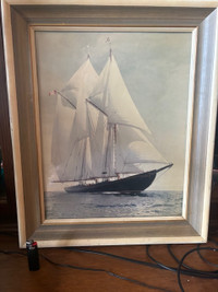 Bluenose picture for sale