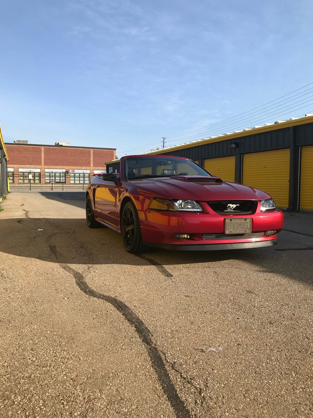 Mustang for sale  in Cars & Trucks in Mississauga / Peel Region - Image 3