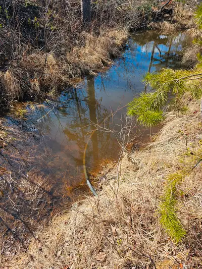 Placer claim is around Hush Lake, 20 minute drive north of Quesnel bc, main highway drives through i...