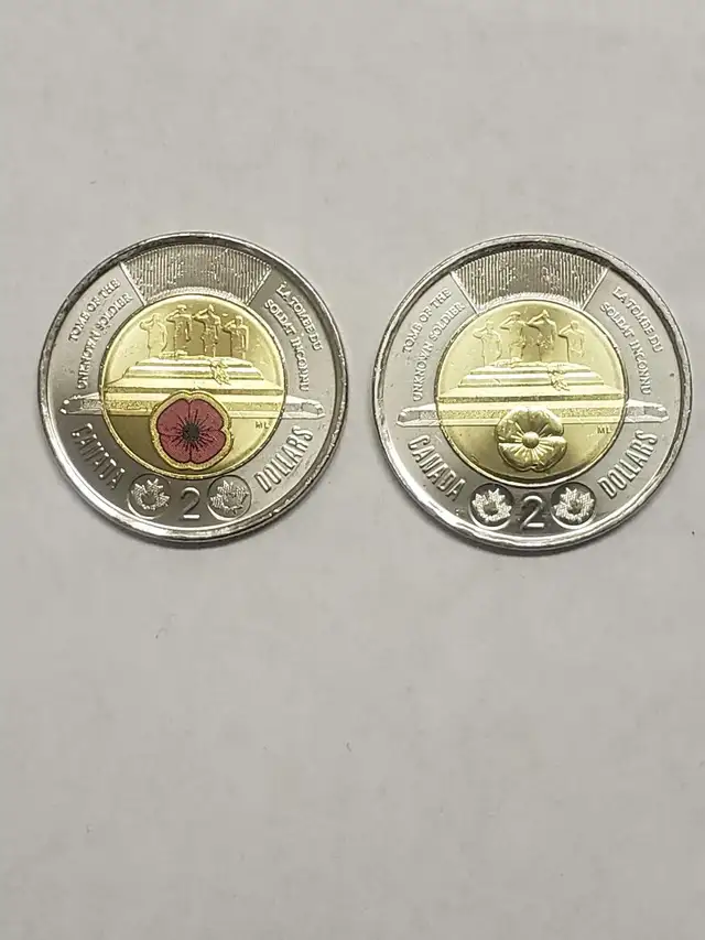 2025 Toonie Tomb Unknown Soldiers in Arts & Collectibles in City of Toronto - Image 2