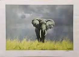 David Shepard Africa Elephant and Zebra Prints, View more