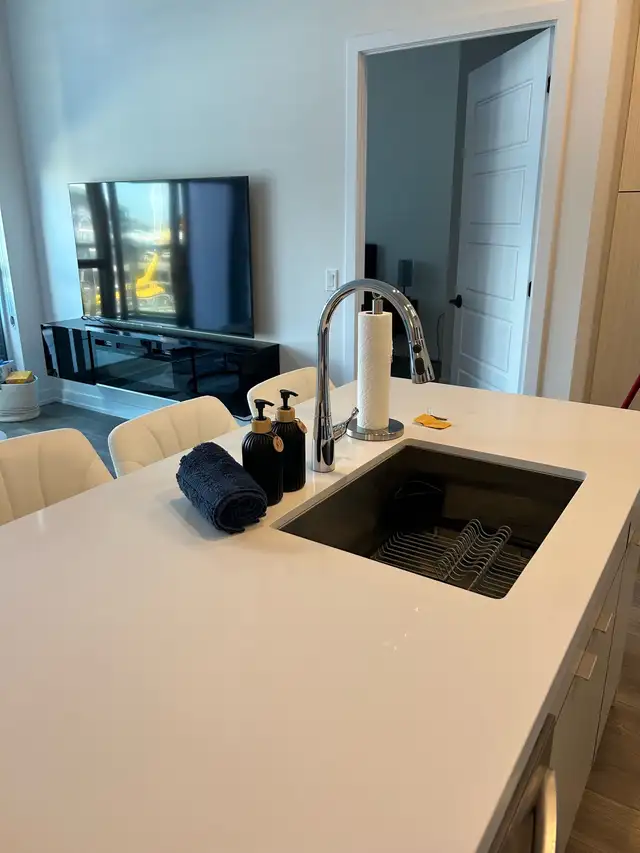 Cleaning services 509908060462141449
