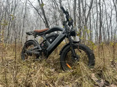 Ebike Smartravel  Raptor   ST202   Pro - Paid over $2900, View more