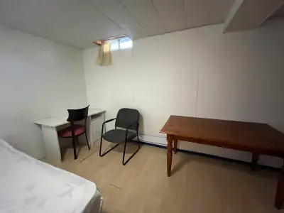 Large private basement room for rent near Seneca Newnham