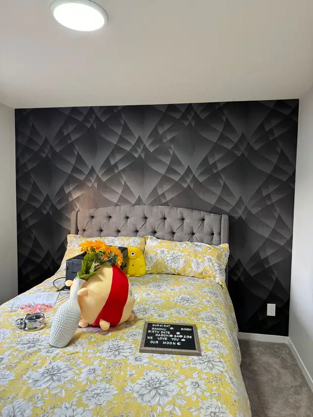 wallpaper64562370091651120