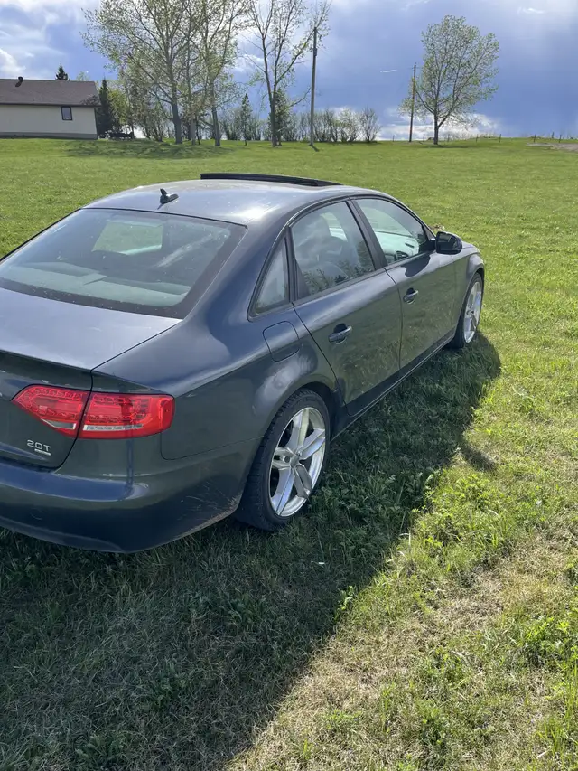 2010 Audi A4562911392165406723