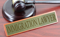 NEEDED immigration lawyer law consultant to bring partner here