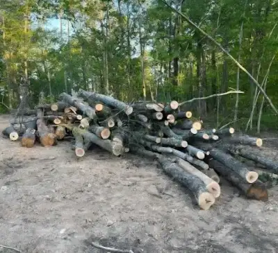 Drop off logs  for free, View more